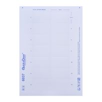 morepic-1