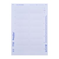 morepic-1