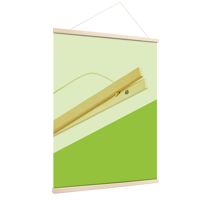 morepic-1