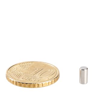 Stabmagnete aus Neodym, vernickelt 3 mm | 6 mm