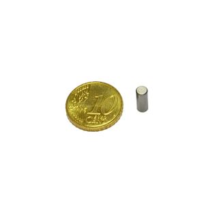 Neodym-Stabgreifer mit glattem Gehäuse 4 mm