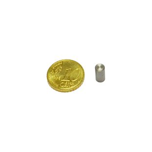 Neodym-Stabgreifer mit glattem Gehäuse 5 mm