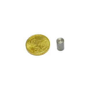 Neodym-Stabgreifer mit glattem Gehäuse 6 mm