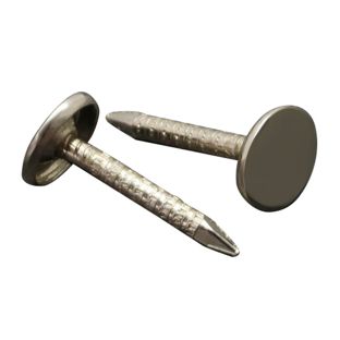 Nägel für Musterbücher, 20 mm, flacher Kopf, vernickelt 