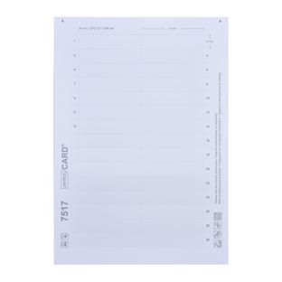 Druckbogen, blanko Office/Profil 20, 75 x 17 mm