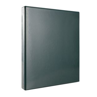 Präsentationsringbuch A4 grün | 25 mm | PVC | 2-D-Ring-Mechanik
