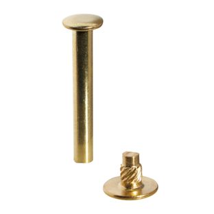 Buchschrauben mit Einpresskopf, vermessingt 30 mm