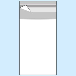 Klappenbeutel, wiederverschließbar, OPP-Folie, transparent 60 x 120 mm 