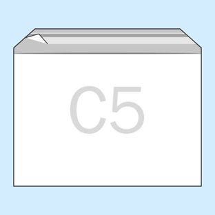 PP Klappenbeutel 229 x 162 mm  | 100 µm