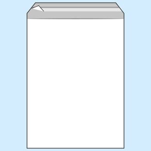 PP Klappenbeutel 300 x 400 mm  | 50 µm