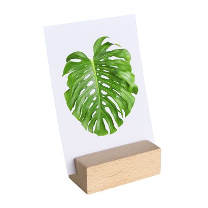 Kartenhalter aus Holz schräger Einsteckschlitz | Buche | 60 mm | natur