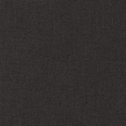 Planax Copy Strips für Copybinder,  schwarz  | A5  | 20 mm