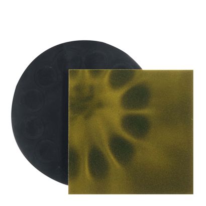 Flux-Detektor Folie zum Anzeigen von Magnetfeldern 75 x 75 mm