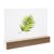 Kartenhalter aus Holz gerader Einsteckschlitz | Buche | 150 mm | natur