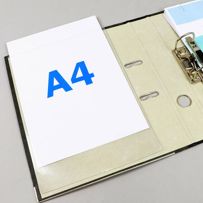 morepic-2