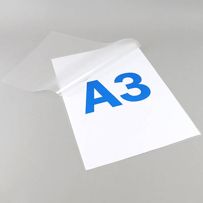 morepic-4
