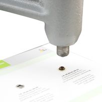 morepic-3