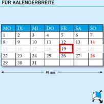 morepic-2
