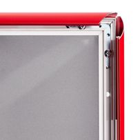 morepic-4