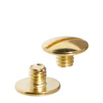 morepic-5