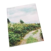 morepic-5