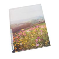 morepic-5