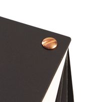 morepic-7