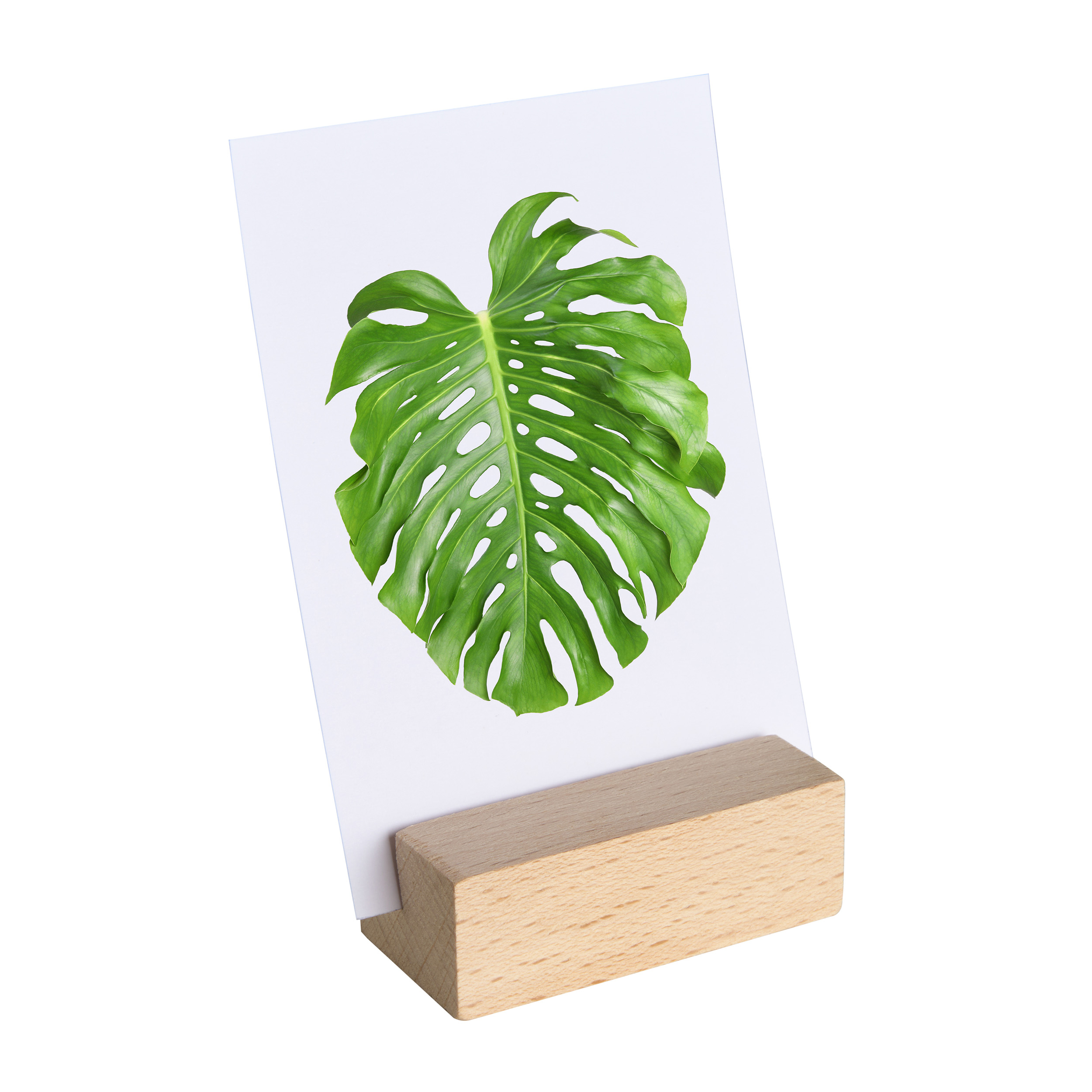Kartenhalter aus Holz 60 mm | Buche | schräger Einsteckschlitz | natur, Buchenholz