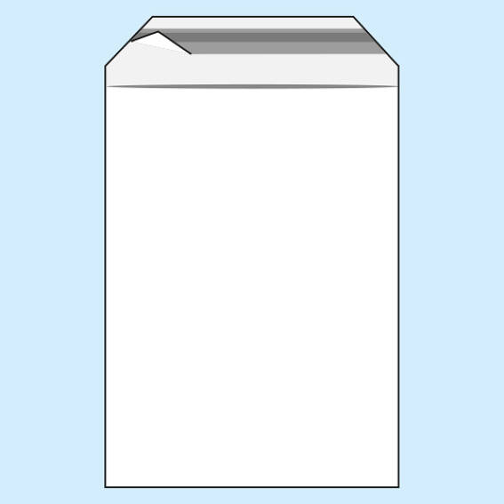 100 Klappenbeutel, wiederverschließbar, PE-Folie, transparent 250 x 350 mm | 70 μm